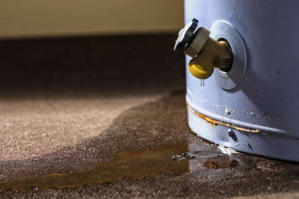 Best Commercial water damage restoration  in Mount Olive, IL