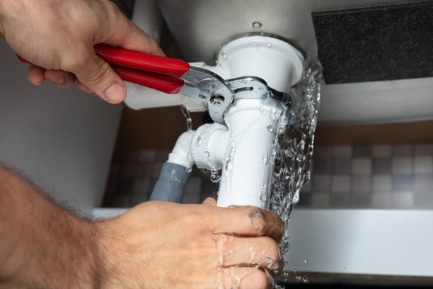 Best Fire Damage Restoration  in Mount Olive, IL
