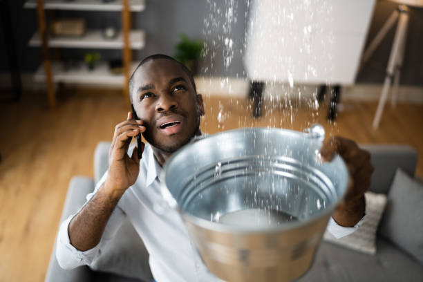  Mount Olive, IL Water damage restoration Pros