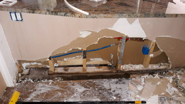 Best Water damage restoration near me  in Mount Olive, IL