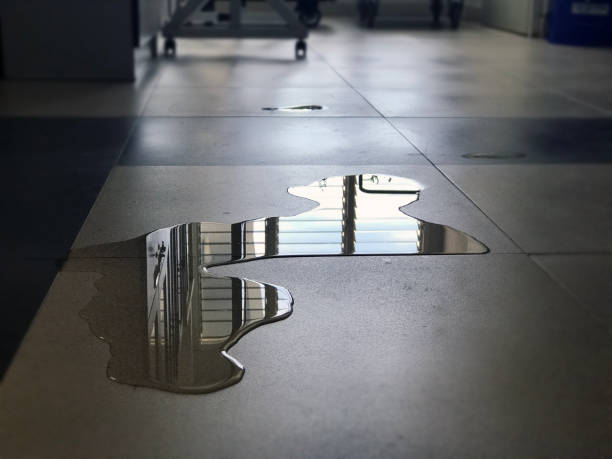 Best 24-hour water damage restoration  in Mount Olive, IL