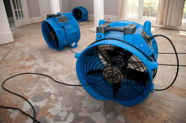 Best 24/7 water damage repair  in Mount Olive, IL