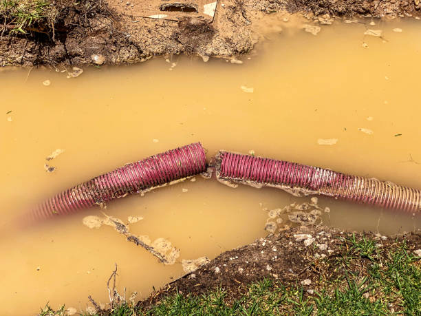 Best Water damage restoration cost  in Mount Olive, IL